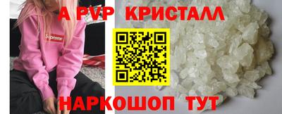 герыч Кингисепп