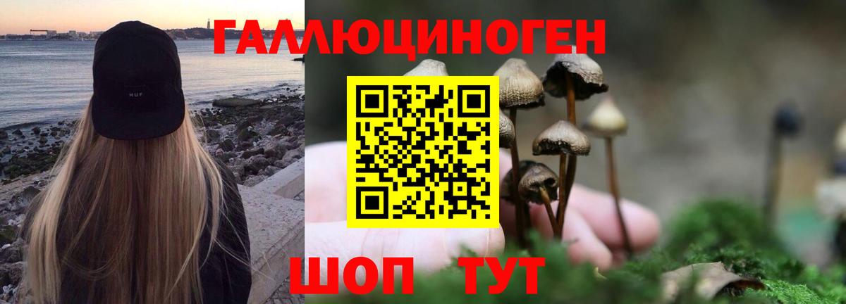 Галлюциногенные грибы мицелий  Вход с VPN  Кемерово 